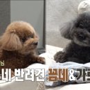 무무유치원 이미지