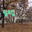 자인계정숲 Daum카페