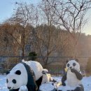 반디빌리지 이미지