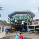 미탄목욕탕 | [강원] 영월 나조스트 캠핑장 J4