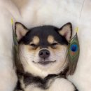 풀코스 이미지