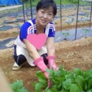 호미건강원 이미지