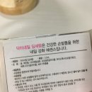 네일 딥
