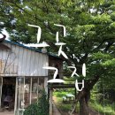 장안22 이미지
