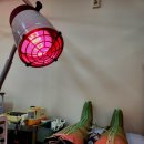 신정식한의원 이미지