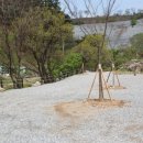 다릿재농원캠핑장 이미지