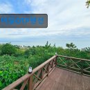 어달OTP펜션 | 강원도 묵호 동해 숙소 펜션 어달OTP펜션 뷰 좋은 동해 숙소