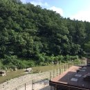 초록 펜션 이미지