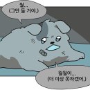 하루하나
