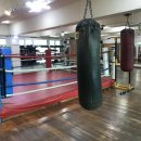 제일복싱 이미지