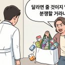 전형팔농장 데일리벳
