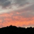 느므즈므 이미지