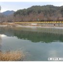 [출조후기] [송어] 2017. 11. 25 지평낚시터(월산지)