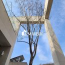 제일투자컨설팅 이미지