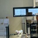 히포파통 이미지