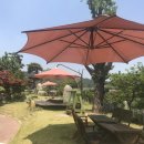 청풍미가 이미지