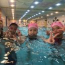 P&S 수영장 이미지