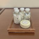 포도호텔 | 제주숙소 핀크스 포도호텔 PODO HOTEL🍇💗 • 디럭스한실 후기🌿🍀