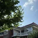 마평4통 이미지