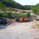 나영농장 이미지