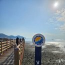 코리아둘레길 「남파랑길」(해남구간) | 코리아 둘레길 남파랑길 여수 구간 60코스 (궁항 정류장에서 와온해변까지)