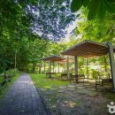 오전2세천 이미지