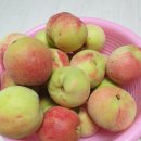 영욱농장 이미지