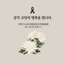 루덴스랩 이미지