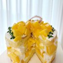 양천로 47길 | 마곡케이크 맛집 타르데마베이커리 강서구성심당 망고시루 리얼후기