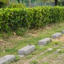 밀양-삼문-삼문-G-010 | #밀양파크골프 신입생(=교육생) 접수 시작!