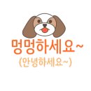 멍`s 네이버블로그
