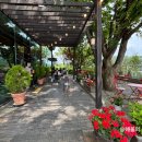 행주산성 | 서울 근교 드라이브 코스 추천, 행주산성 더츠커피팩토리 솔직 후기