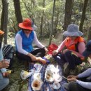 꽃무릇공원 이미지