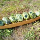 함지화양영농조합법인 이미지