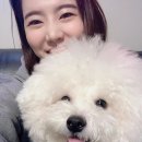 솜사탕 이미지