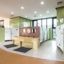 동은아이유치원 이미지