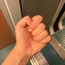 효진여행사주