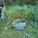 포항축산농협 한우개량사업소 | 포항 기계면 봉계리 한우 개량사업소 벌초대행 후기