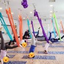 파주 교하 운정 플라잉요가는 "애플플라잉요가"에서_4년다닌후기