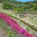 입점리고분전시관 이미지