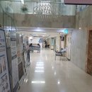 헬로우동물병원 | 서울시 영등포구 예방접종 전문 병원 추천 BEST 6곳
