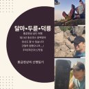 봉황섬터 | [100대명산 달마·두륜·덕룡] 최단 코스 공략법: 남도 1일 3산 남도 산행 일기, 간절함이 만들어낸...