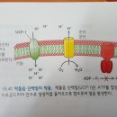 < 9월 20일 > 커플링과 갈색지방 이미지