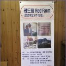 영양레드팜 이미지