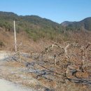 혜성부동산공인중개사사무소 이미지