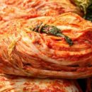 김치랑 이미지
