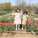 4남매떡볶이 이미지