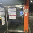 포데로사블루게스트하우스 이미지