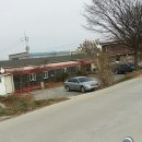 금호강식당 Daum카페