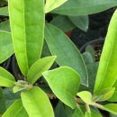 에바다농장 이미지